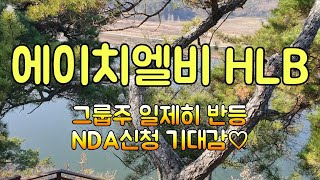 에이치엘비/HLB - [12월 22일] 그룹주 일제히 반등/NDA신청 기대감