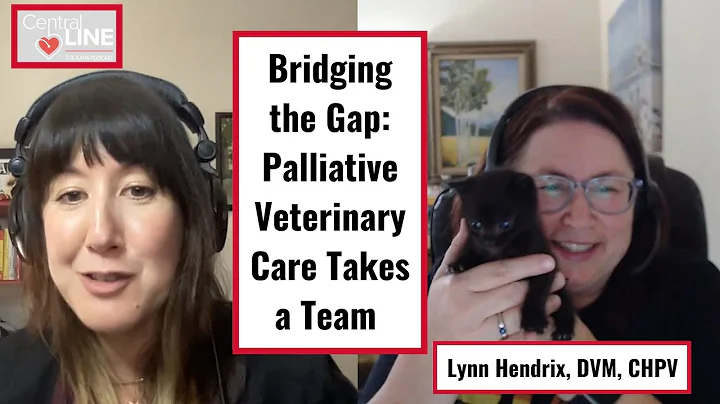 Bridging the Gap: Palliative Veterinary Care Takes...