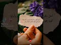 اجمل ما قيل في الارتباط الروحي بين الام واولادها