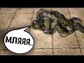 ИЩУ ПРОПАВШИХ ВОЕННЫХ. STALKER ПОД ПРИКРЫТИЕМ СМЕРТИ. КЛОНДАЙК 2.0. #1