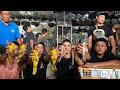 SEPESIAL IDUL ADHA !!! BANYAK PROMO - BURUNG CENDET - PODANG SUMBAWA - DECU - JALAK SUREN DLL