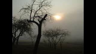 Justinas Lapatinskas - Sugrįžk pas mane