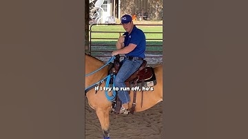 Quick Tips On Seat & Rein Management To Build Confidence! Part 8!| The Horse Guru - Michael Gascon