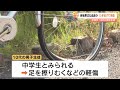 自転車の10代男性が転倒し負傷、車はそのまま逃走 ひき逃げ事件として捜査 大分・中津市