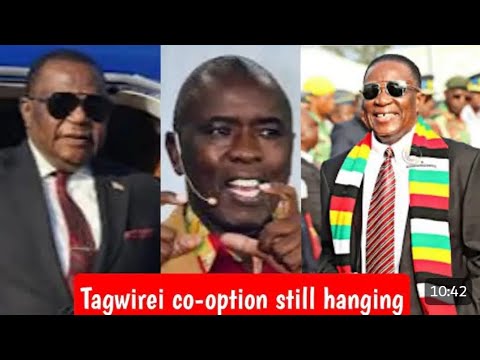 Dzungu Kudakwashe Tagwirei Not Yet A Member Of Central Committee Announced Again
