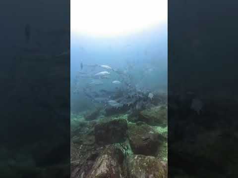 IMG 3759