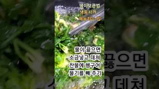 냉이보관법/냉동시켜 해동법