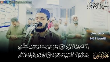 سورة الأنعام كاملة / مجمعة من تلاوات المحراب 2022 / القارئ محمود يحيي محمود