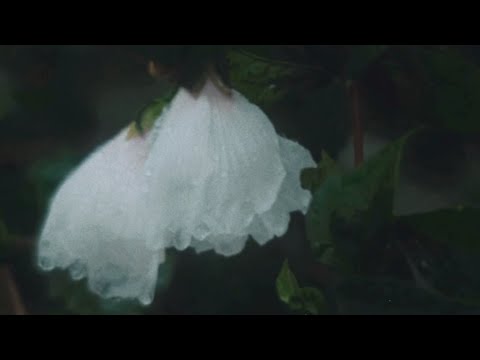겸(GYE0M) - 단춘 [Official M/V]