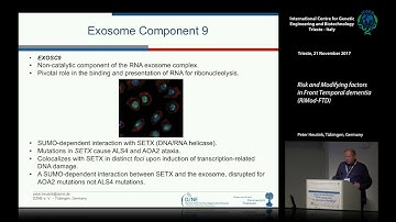 P. Heutink - Risk and modifying factors in Fronto Temporal Dementia (RiMod-FTD)