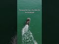 Arromanches Normandy Facts #dday #arromanches #mulberryharbour #goldbeach #ww2 #facts