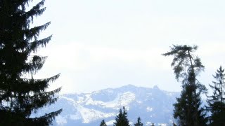 Mozart: Symphony No. 36 in C Major, K. 425 "Linz" -  (2) ... - Capitán Cobarde