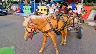 NAIK KERETA KUDA - LAGU NAIK DELMAN ISTIMEWA - NAIK KUDA DELMAN - DELMAN - DOKAR - LAGU KUDA - KUDA