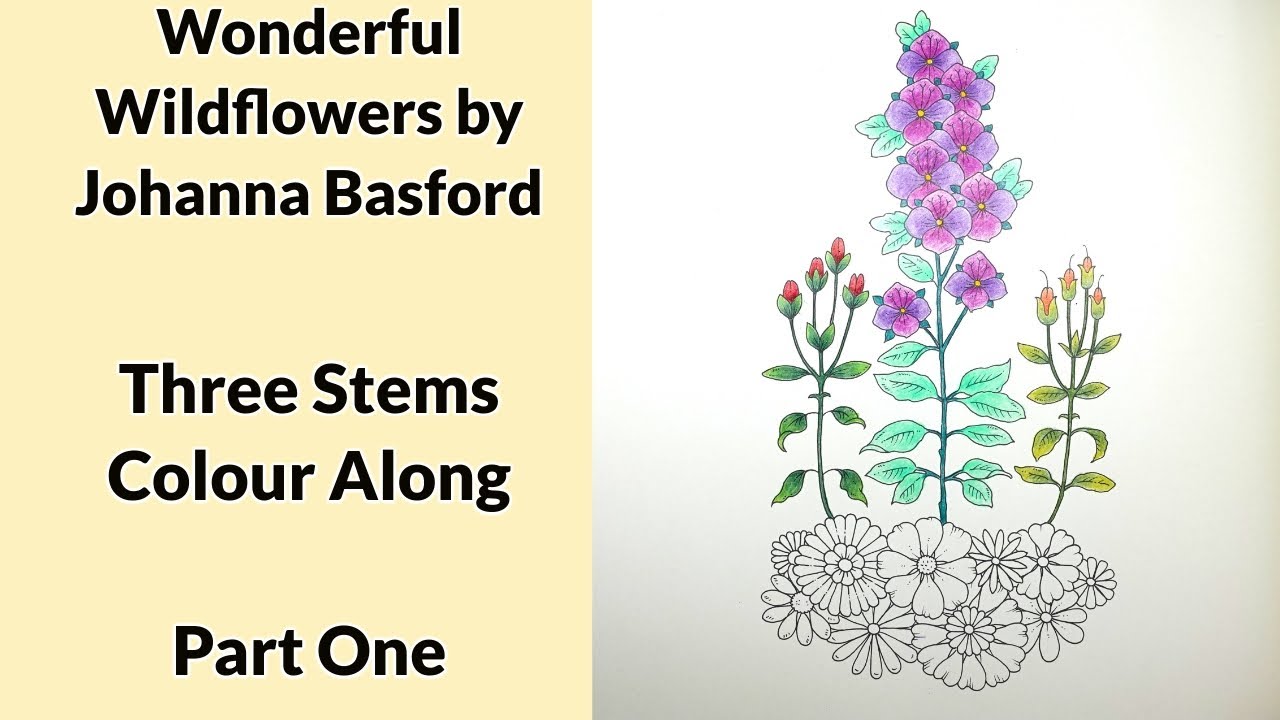 Чудесные полевые цветы Джоанны Басфорд — Три стебля (часть 1)