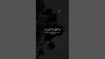 آجمل تلاوة القرآن الكريم بصوت شريف مصطفى آجمل حالات واتس اب
