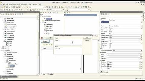 1C:Professional, Lesson 5, Video 2