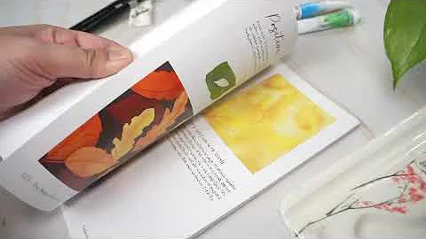 The Beginners Guide to Watercolor Book Flip Through