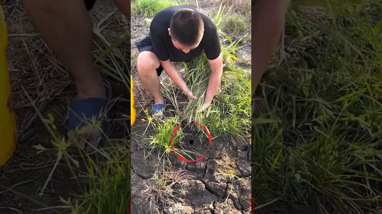 This person found a turtle under a bush. #shortsvideo