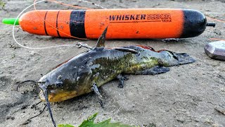 BOBBER Fishing for MONSTER FISH!!! (River Camping) 