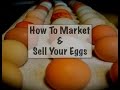 How To Market & Sell Your Eggs