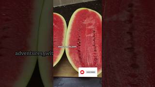 Satisfying Watermelon Cutting😋🍉#youtubeshorts#watermeloncutting#shortsreel#trendinshorts#viralvideo