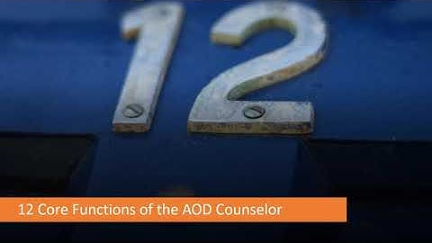 Addictions Counselor Core Skills, Part I: The 12 Core Functions