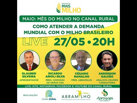 Como atender à demanda mundial com o milho brasileiro