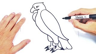 Cómo dibujar un Aguila Paso a Paso y fácil - YouTube