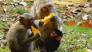 Because Of Mango Mom Made Jayden Scream Loudly And Try To Caught Hug Mom