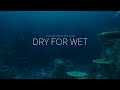 Dry For Wet Explain Like I M Five VFX Edition E02 