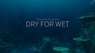 Dry For Wet - Explain Like Im Five, Vfx Edition E02