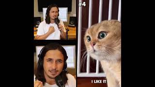 Top 10 Cat Songs by The Kiffness Baby voice