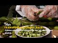 Transformación del Balú: Cómo Convertir Cáscaras en un Delicioso Dulce-TvAgro por Juan Gonzalo Angel