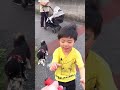 赤ちゃんの初めてのお外は豆柴とお散歩【柴犬】#shorts