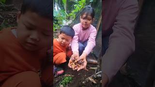 ke Kebun dulu Cari Kunyit… Eh Ternyata Ada yang Siap Panen.