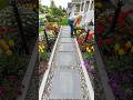 A Boring Front Yard Turned Into Beautiful Pathway