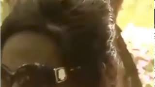 Wtf Is Going On Baby