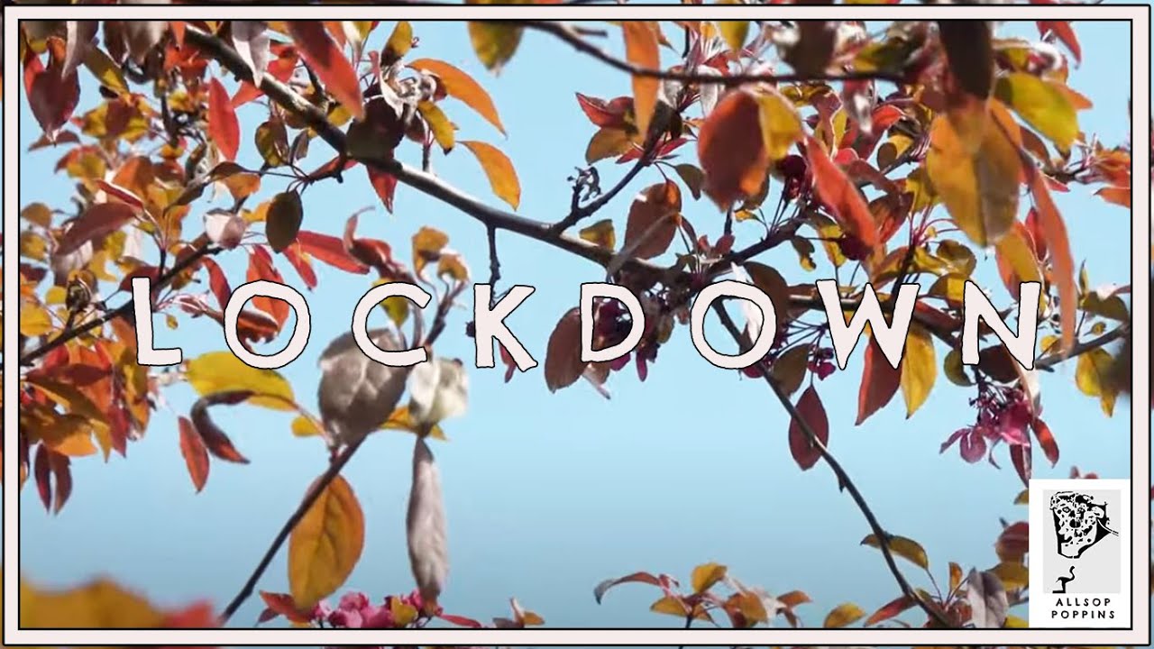 Lockdown Life - 4K