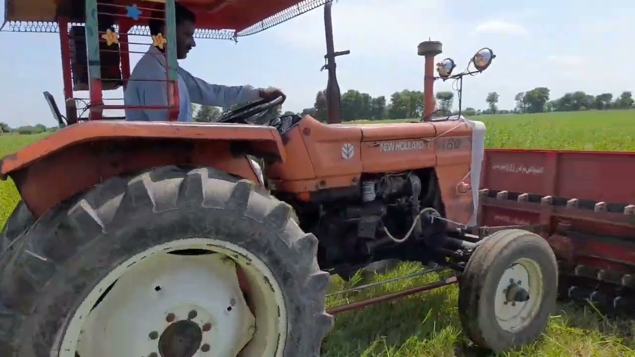 sesame reaper in field