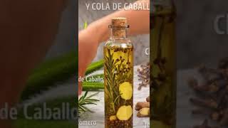 Aceite de hojas de guayaba para el cabello 👌🏻 Adiós canas, Hola brillo natural 🌱 #tips #belleza