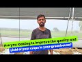 Are you looking to improve the quality and yield of your crops in your greenhouse