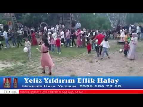 YELİZ YILDIRIM // ELLİK & HALAY