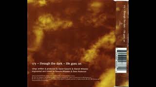 The Sundays - Life Goes On (Instrumental)