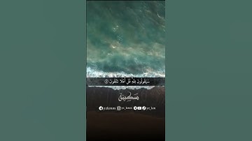 تلاوة خاشعة بصوت القارئ الشيخ ياسر الدوسري #القران_الكريم #سَكِينة #راحه_للقلب #ياسر_الدوسري