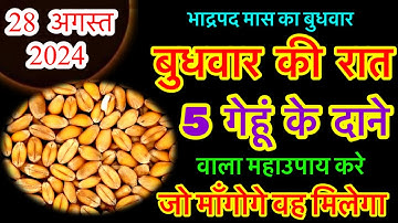 28 अगस्त बुधवार दशमी तिथि को 5 गेहूं के दाने वाला उपाय जरूर करे || Pradeep Ji Mishra