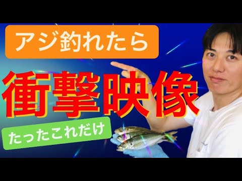 つりきち（本日中のみ） ステンレス製キャッチャーつめきりS - 【公式】刃物のことなら