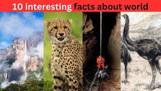 Top 10 Interesting Facts About World The Yt University