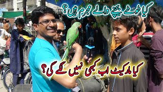 Lalukhet Exotic Parrots and Rare Birds Market Karachi 28-4-2024 Latest Update in Urdu\/Hindi