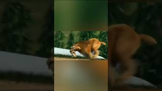 Diego Running And Roaring #Short#