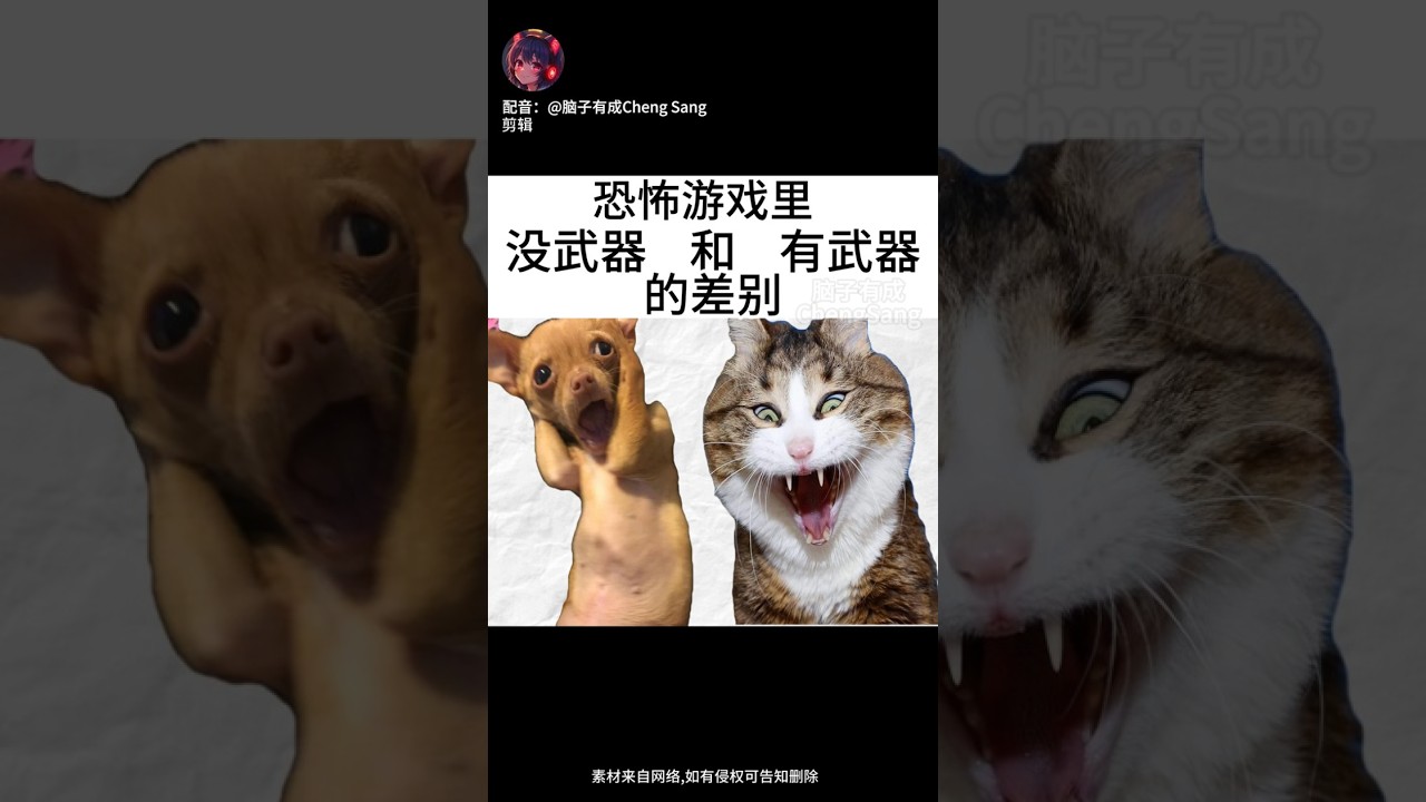 我喜歡有武器的恐怖游戲 |梗圖|迷因|配音 | MYViki